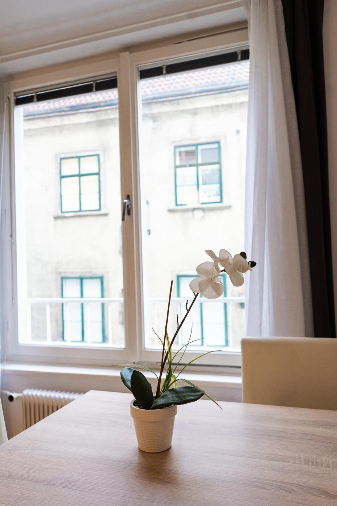 Central Living - Stephansdom Apartments Viena Habitación foto